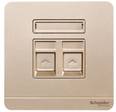 施耐德电气 绎尚 双联带保护门超五类信息插座